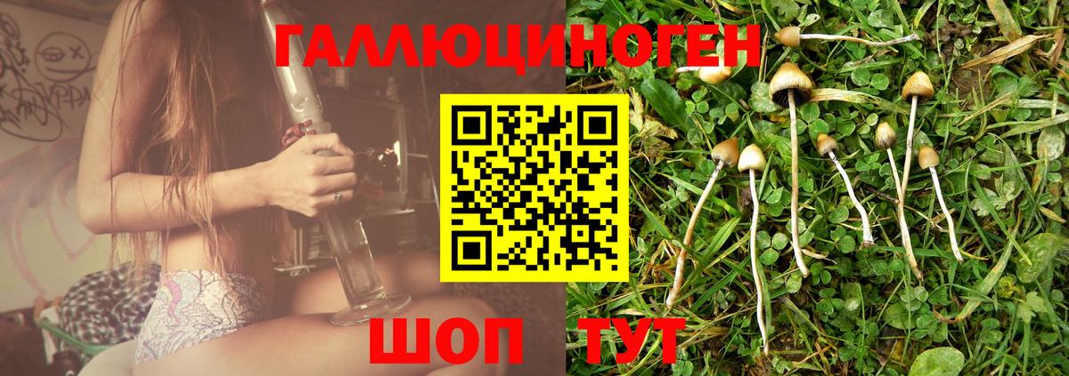 Феодосия  Галлюциногенные грибы Psilocybine cubensis  Вход с VPN 